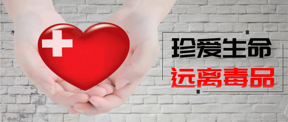 新型冠状肺炎实时动态(新冠肺炎实时动态数据)-第3张图片