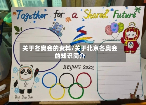 关于冬奥会的资料/关于北京冬奥会的知识简介-第2张图片