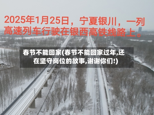 春节不能回家(春节不能回家过年,还在坚守岗位的故事,谢谢你们!)-第1张图片