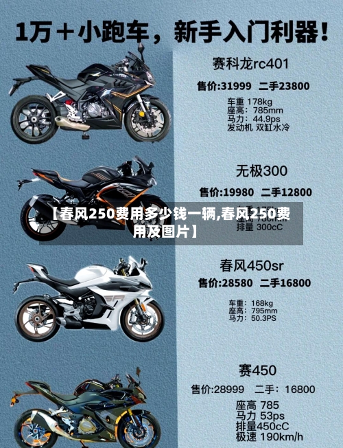 【春风250费用多少钱一辆,春风250费用及图片】-第2张图片