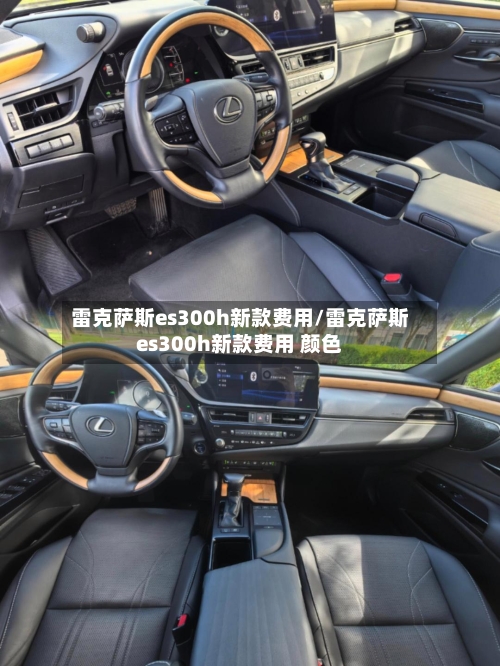 雷克萨斯es300h新款费用/雷克萨斯es300h新款费用 颜色