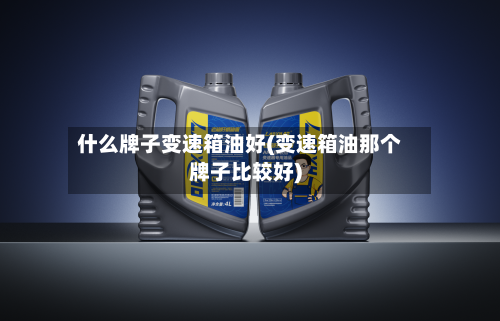 什么牌子变速箱油好(变速箱油那个牌子比较好)