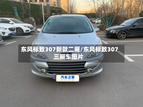 东风标致307新款二厢/东风标致307三厢车图片