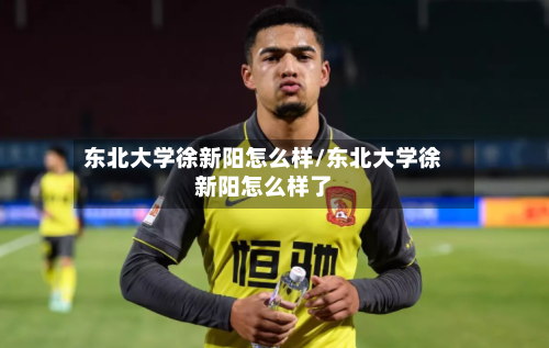 东北大学徐新阳怎么样/东北大学徐新阳怎么样了-第2张图片