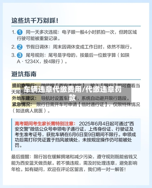 车辆违章代缴费用/代缴违章罚款