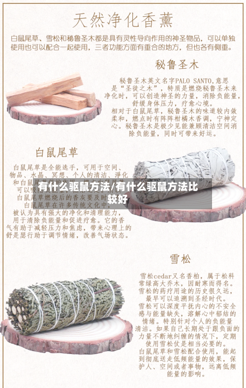 有什么驱鼠方法/有什么驱鼠方法比较好-第2张图片