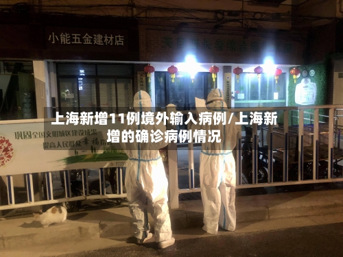 上海新增11例境外输入病例/上海新增的确诊病例情况