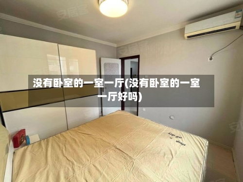 没有卧室的一室一厅(没有卧室的一室一厅好吗)-第2张图片