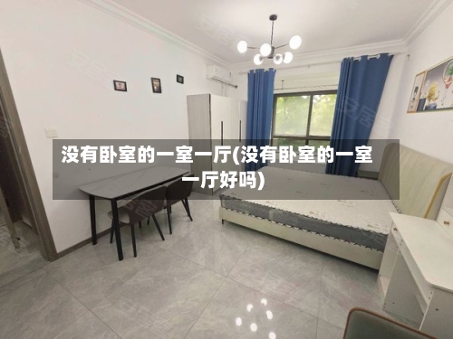 没有卧室的一室一厅(没有卧室的一室一厅好吗)