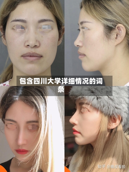包含四川大学详细情况的词条