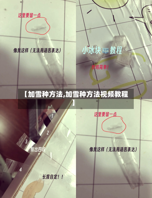 【加雪种方法,加雪种方法视频教程】-第1张图片