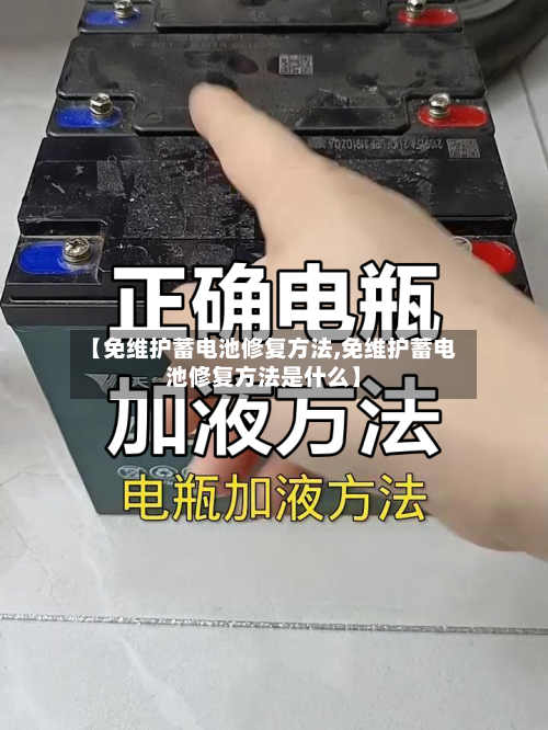 【免维护蓄电池修复方法,免维护蓄电池修复方法是什么】-第3张图片