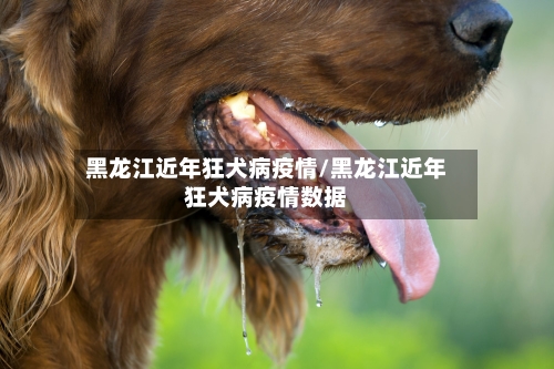 黑龙江近年狂犬病疫情/黑龙江近年狂犬病疫情数据-第2张图片