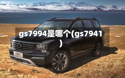 gs7994是哪个(gs7941)