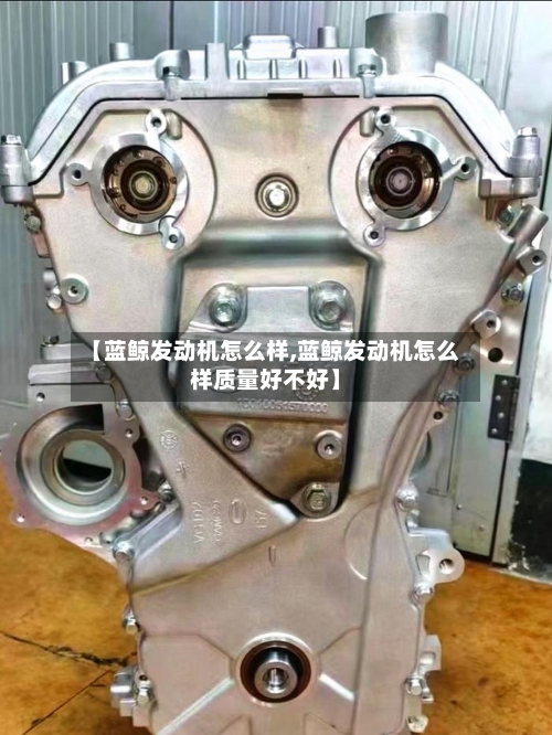 【蓝鲸发动机怎么样,蓝鲸发动机怎么样质量好不好】