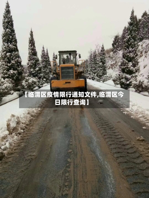 【临渭区疫情限行通知文件,临渭区今日限行查询】-第2张图片