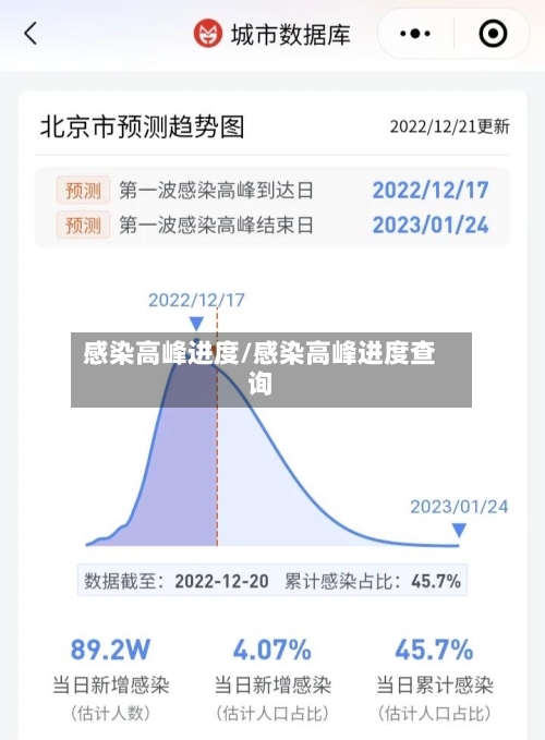 感染高峰进度/感染高峰进度查询