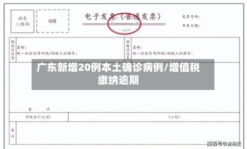 广东新增20例本土确诊病例/增值税缴纳逾期