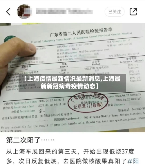 【上海疫情最新情况最新消息,上海最新新冠病毒疫情动态】-第3张图片