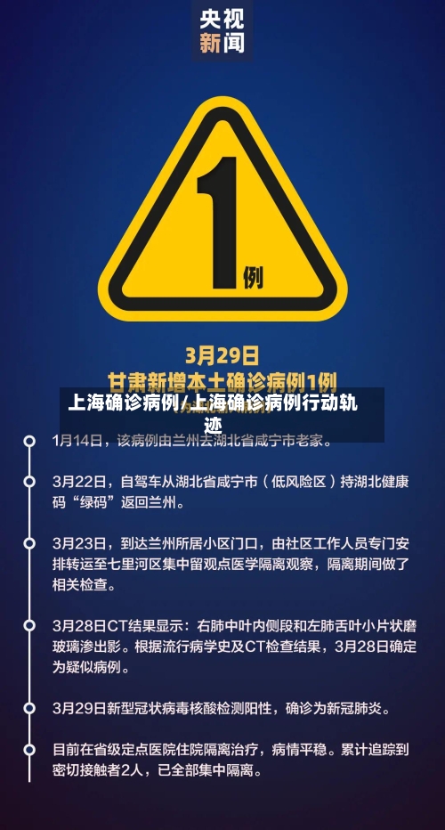 上海确诊病例/上海确诊病例行动轨迹-第2张图片