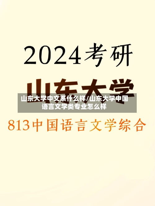 山东大学中文系什么样/山东大学中国语言文学类专业怎么样-第3张图片