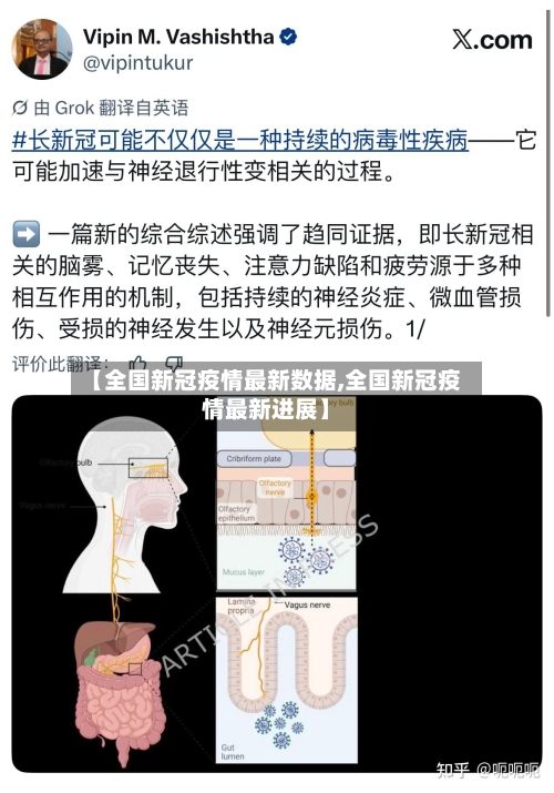 【全国新冠疫情最新数据,全国新冠疫情最新进展】-第2张图片