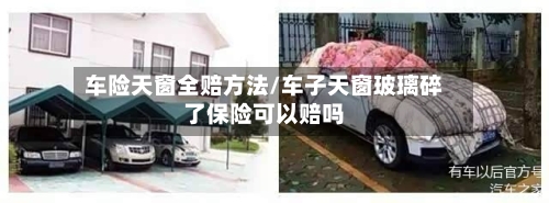 车险天窗全赔方法/车子天窗玻璃碎了保险可以赔吗-第2张图片