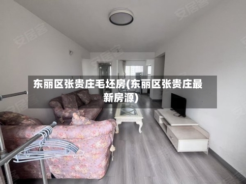 东丽区张贵庄毛坯房(东丽区张贵庄最新房源)-第2张图片