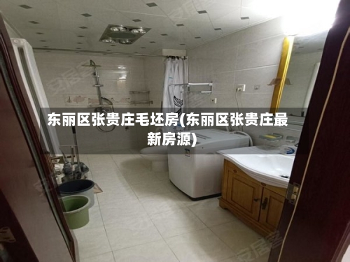 东丽区张贵庄毛坯房(东丽区张贵庄最新房源)