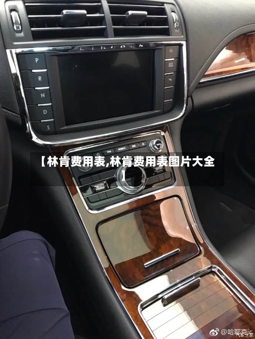 【林肯费用表,林肯费用表图片大全】-第2张图片