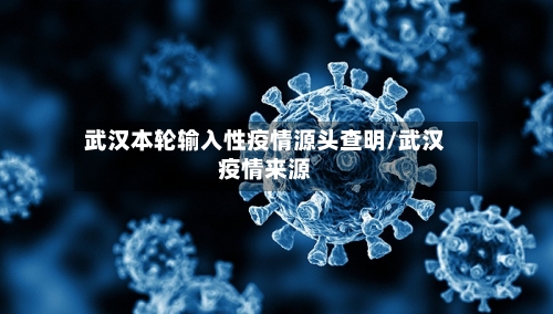武汉本轮输入性疫情源头查明/武汉疫情来源-第2张图片