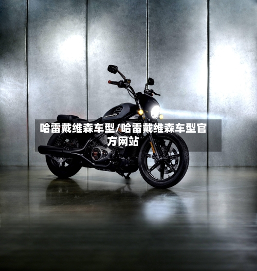 哈雷戴维森车型/哈雷戴维森车型官方网站-第2张图片