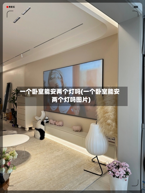 一个卧室能安两个灯吗(一个卧室能安两个灯吗图片)