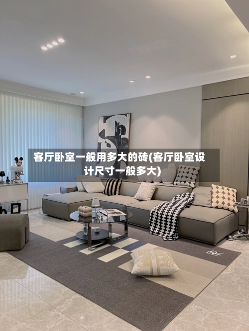 客厅卧室一般用多大的砖(客厅卧室设计尺寸一般多大)-第2张图片