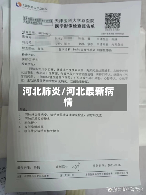 河北肺炎/河北最新病情-第2张图片