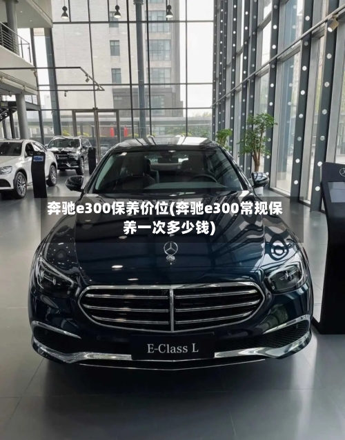 奔驰e300保养价位(奔驰e300常规保养一次多少钱)-第2张图片