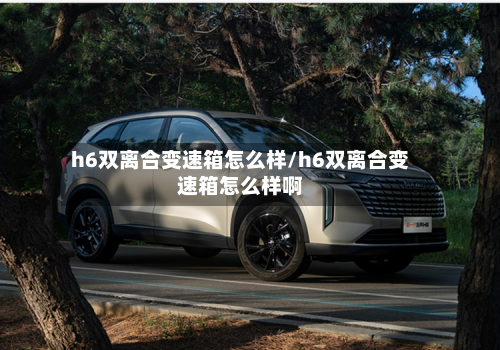h6双离合变速箱怎么样/h6双离合变速箱怎么样啊