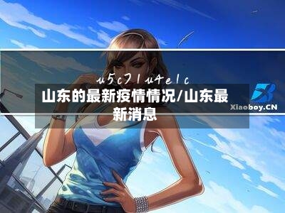 山东的最新疫情情况/山东最新消息-第3张图片