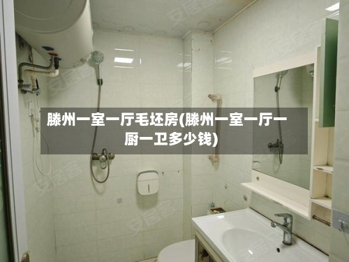 滕州一室一厅毛坯房(滕州一室一厅一厨一卫多少钱)-第1张图片