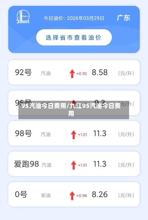 95汽油今日费用/九江95汽油今日费用