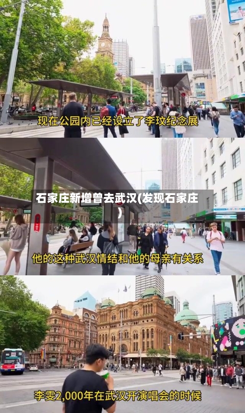 石家庄新增曾去武汉(发现石家庄)-第2张图片