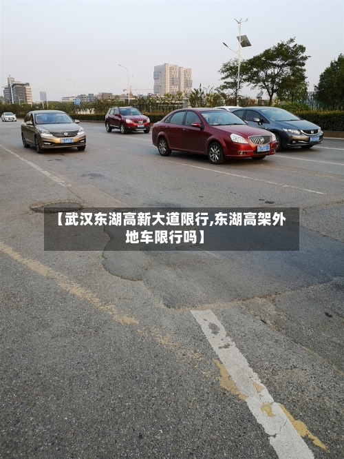 【武汉东湖高新大道限行,东湖高架外地车限行吗】-第3张图片