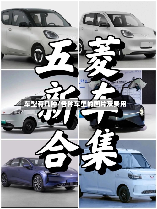 车型有几种/各种车型的图片及费用