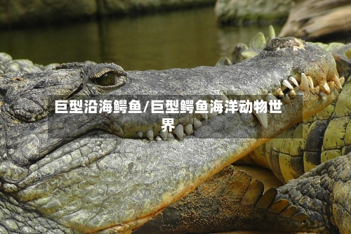 巨型沿海鳄鱼/巨型鳄鱼海洋动物世界