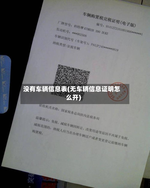 没有车辆信息表(无车辆信息证明怎么开)