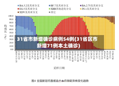31省市新增确诊病例54例(31省区市新增71例本土确诊)