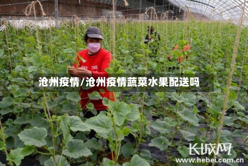 沧州疫情/沧州疫情蔬菜水果配送吗-第1张图片