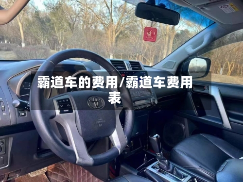 霸道车的费用/霸道车费用表-第1张图片