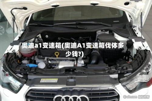 奥迪a1变速箱(奥迪A1变速箱伐体多少钱?)-第2张图片