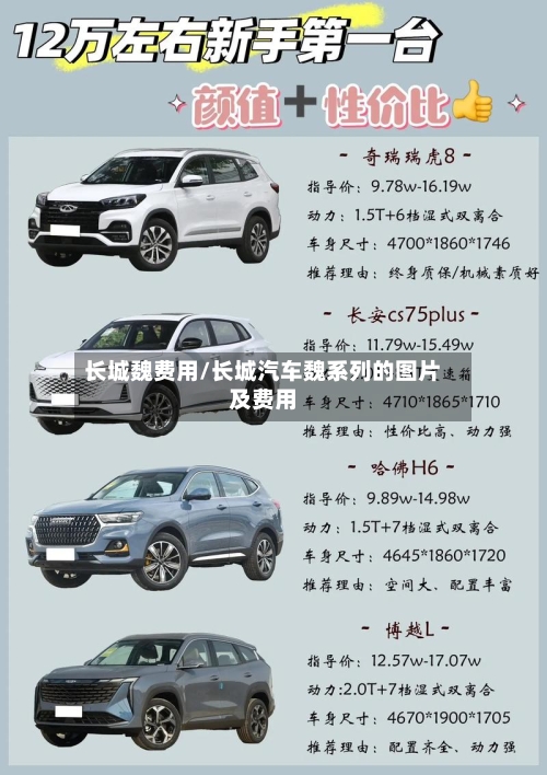 长城魏费用/长城汽车魏系列的图片及费用-第2张图片